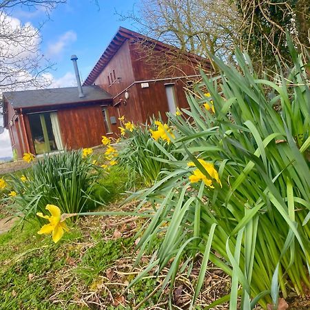 Ballyhoura Mountain Lodges Ballyorgan Extérieur photo