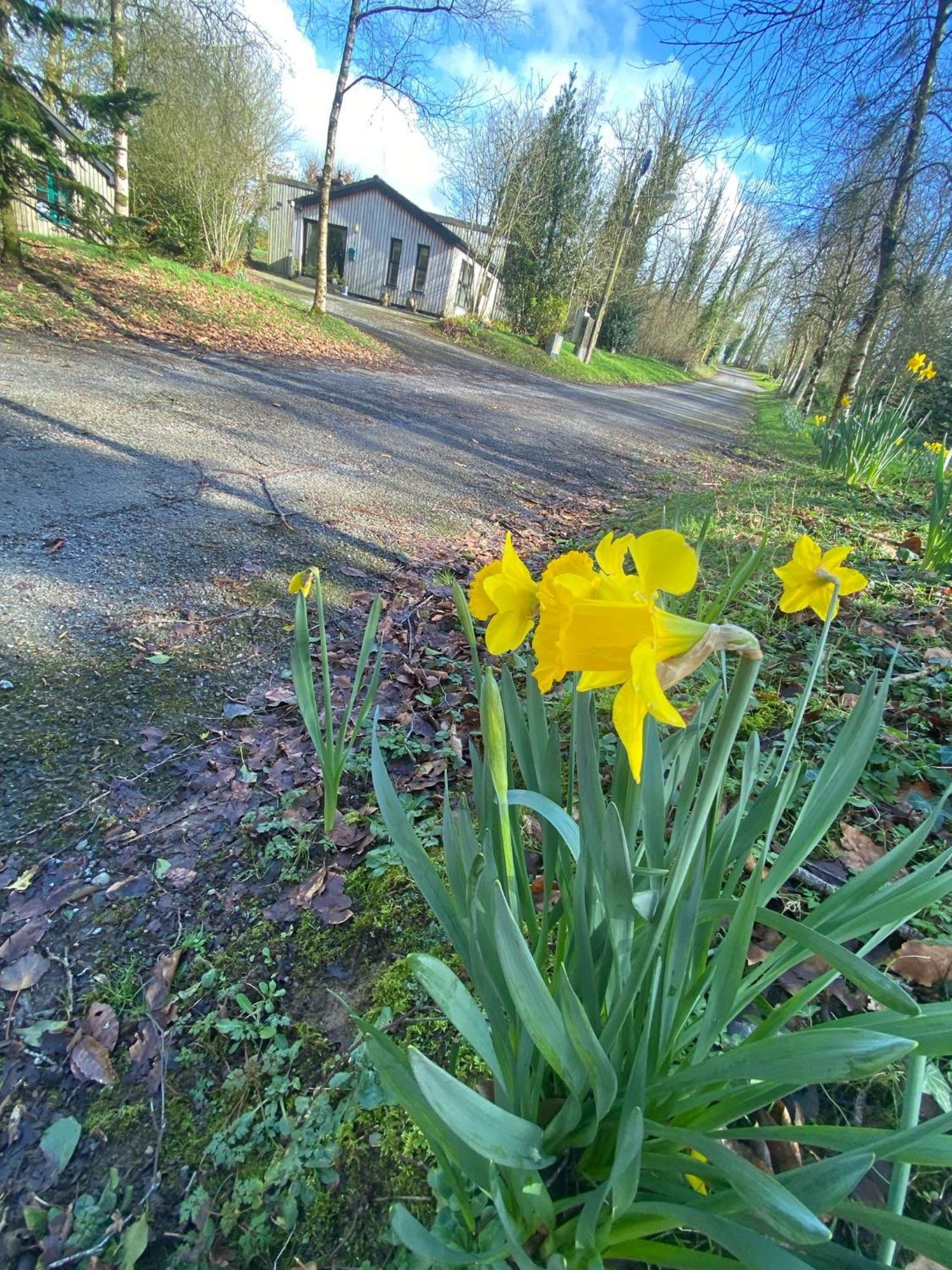 Ballyhoura Mountain Lodges Ballyorgan Extérieur photo