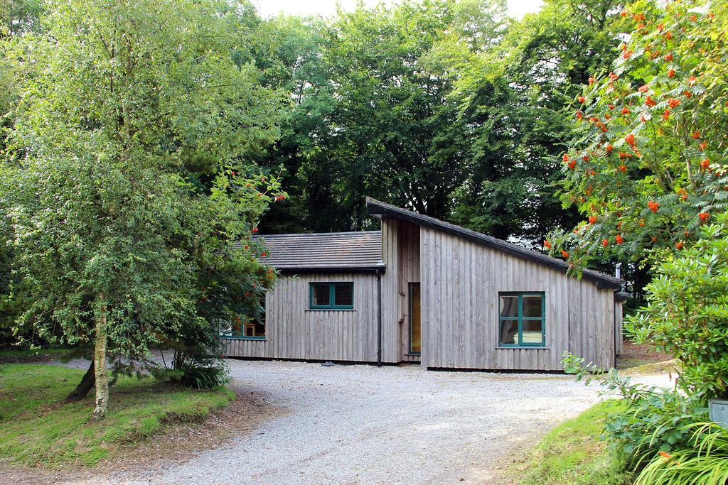 Ballyhoura Mountain Lodges Ballyorgan Chambre photo
