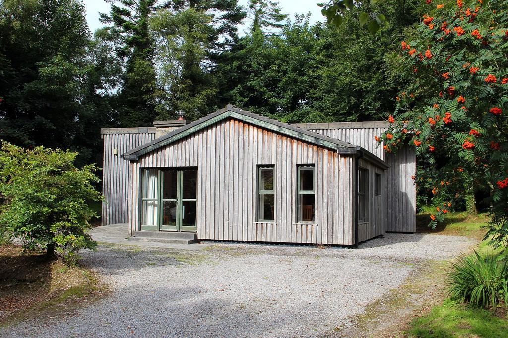 Ballyhoura Mountain Lodges Ballyorgan Chambre photo